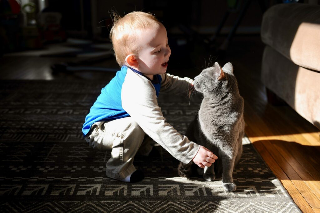 Katze und Baby