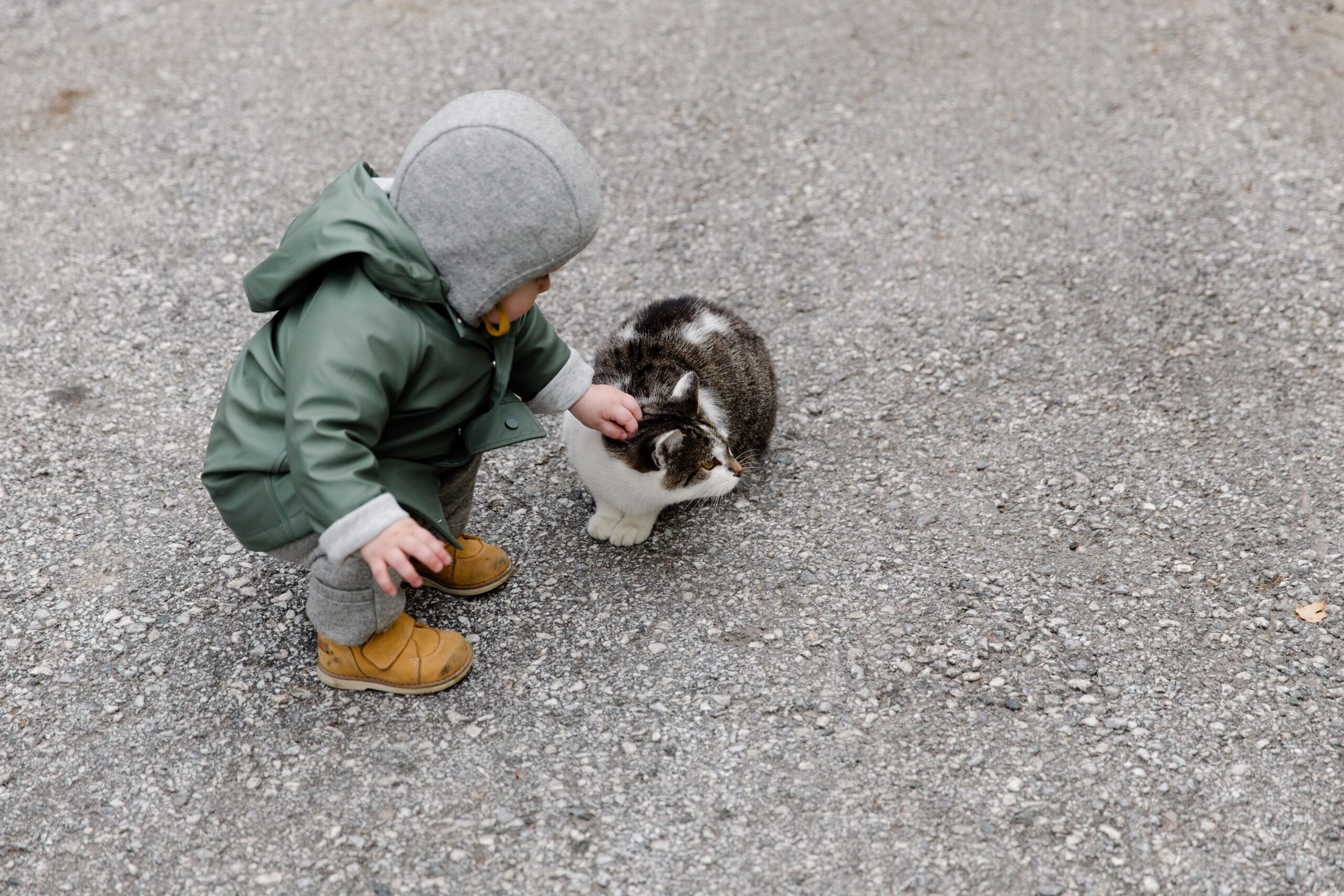 Katze und Baby – Katze und Baby liegen zusammen